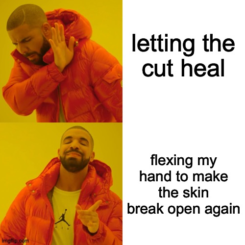 I'm Just Assuming This Is Relatable | letting the
cut heal; flexing my hand to make the skin break open again | image tagged in memes,drake hotline bling,human stupidity | made w/ Imgflip meme maker