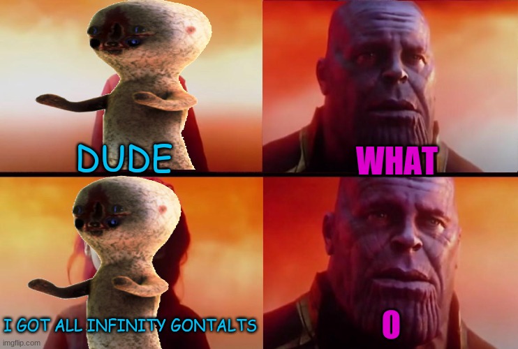 dude got all inifnity gontalts | WHAT; DUDE; O; I GOT ALL INFINITY GONTALTS | image tagged in thanos | made w/ Imgflip meme maker