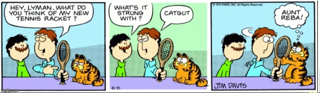 image tagged in garfield | made w/ Imgflip meme maker