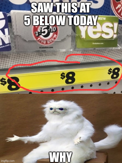 Eight below | SAW THIS AT 5 BELOW TODAY; WHY | image tagged in funny,why | made w/ Imgflip meme maker