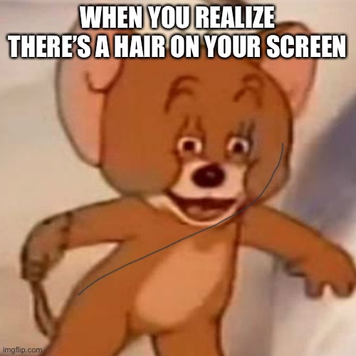 Polish Jerry | WHEN YOU REALIZE THERE’S A HAIR ON YOUR SCREEN | image tagged in polish jerry | made w/ Imgflip meme maker