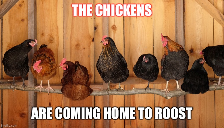 The chickens are coming home to roost | THE CHICKENS; ARE COMING HOME TO ROOST | image tagged in wear your mask,funny memes | made w/ Imgflip meme maker