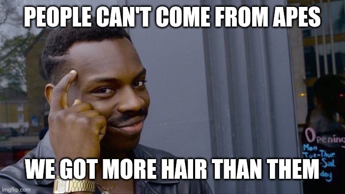 Roll Safe Think About It | PEOPLE CAN'T COME FROM APES; WE GOT MORE HAIR THAN THEM | image tagged in memes,roll safe think about it | made w/ Imgflip meme maker