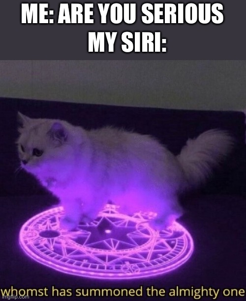 Whomst has summoned the almighty one | ME: ARE YOU SERIOUS; MY SIRI: | image tagged in whomst has summoned the almighty one,siri,memes,lol | made w/ Imgflip meme maker