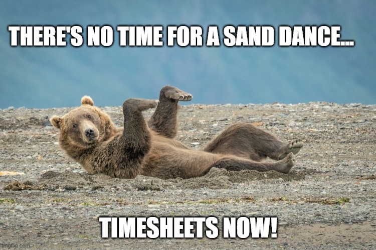 Sand Dance Timesheet Reminder | THERE'S NO TIME FOR A SAND DANCE... TIMESHEETS NOW! | image tagged in sand dance timesheet reminder,timesheet reminder,timesheet meme,funny memes,bear timesheet reminder | made w/ Imgflip meme maker
