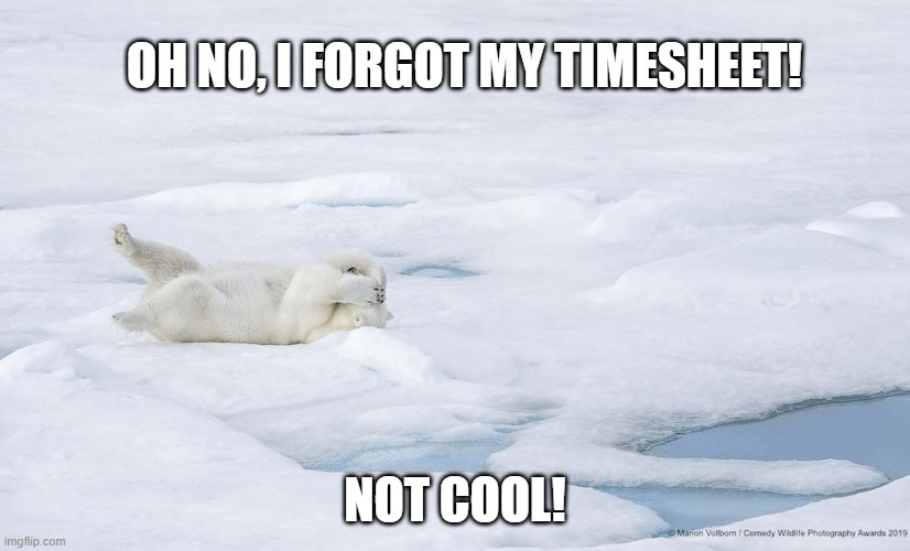 Polar Bear Timesheet Reminder | OH NO, I FORGOT MY TIMESHEET! NOT COOL! | image tagged in polar bear timesheet reminder,timesheet reminder,timesheet meme,funny memes | made w/ Imgflip meme maker