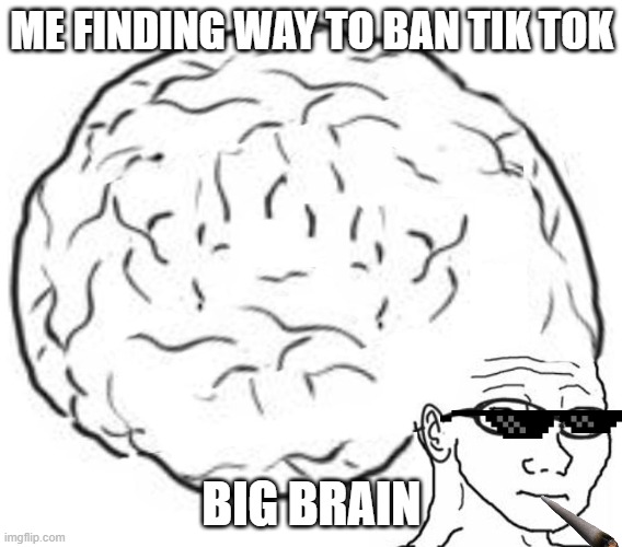 Big Brain | ME FINDING WAY TO BAN TIK TOK; BIG BRAIN | image tagged in big brain | made w/ Imgflip meme maker