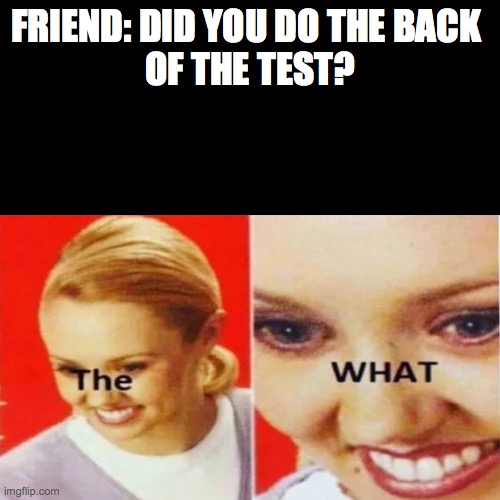 The What | FRIEND: DID YOU DO THE BACK 
OF THE TEST? | image tagged in the what | made w/ Imgflip meme maker
