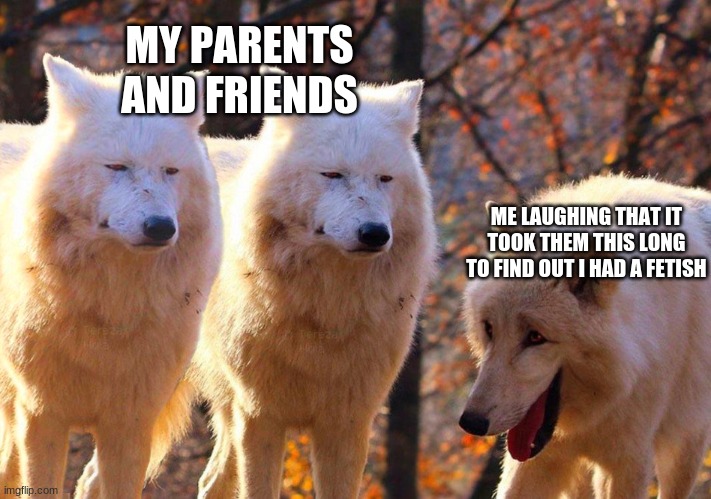 Grump Wolves | MY PARENTS AND FRIENDS; ME LAUGHING THAT IT TOOK THEM THIS LONG TO FIND OUT I HAD A FETISH | image tagged in grump wolves,memes | made w/ Imgflip meme maker