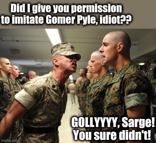 drill sergeant | Did I give you permission to imitate Gomer Pyle, idiot?? GOLLYYYY, Sarge! You sure didn't! | image tagged in drill sergeant | made w/ Imgflip meme maker