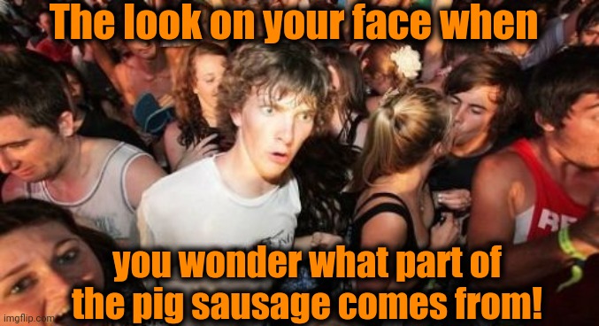 Oh no! I hope not! lol | The look on your face when; you wonder what part of the pig sausage comes from! | image tagged in memes,sudden clarity clarence | made w/ Imgflip meme maker