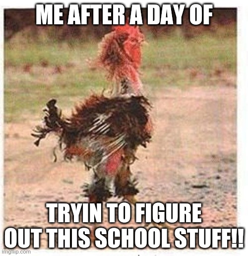 mangled chicken | ME AFTER A DAY OF; TRYIN TO FIGURE OUT THIS SCHOOL STUFF!! | image tagged in mangled chicken | made w/ Imgflip meme maker