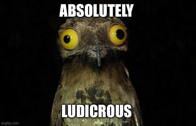 Absolutely ludicrous | ABSOLUTELY; LUDICROUS | image tagged in memes,weird stuff i do potoo | made w/ Imgflip meme maker
