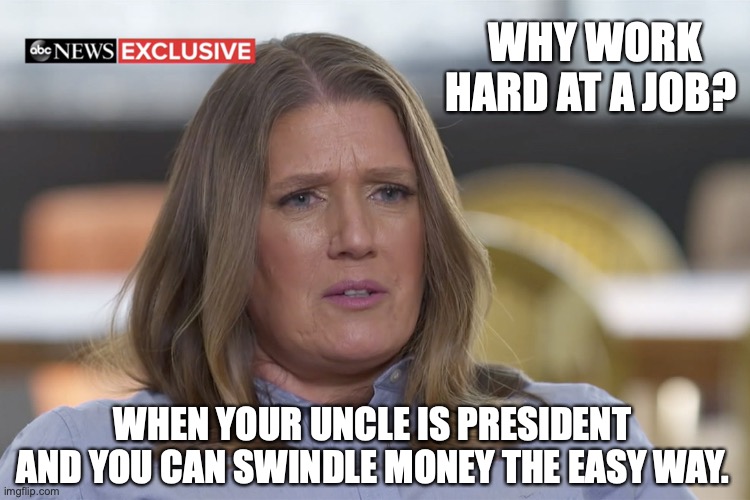 Mary Trump | WHY WORK HARD AT A JOB? WHEN YOUR UNCLE IS PRESIDENT AND YOU CAN SWINDLE MONEY THE EASY WAY. | image tagged in funny memes | made w/ Imgflip meme maker