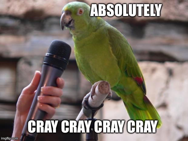 Absolutely cray cray | ABSOLUTELY; CRAY CRAY CRAY CRAY | image tagged in parrot,cray cray cray cray | made w/ Imgflip meme maker