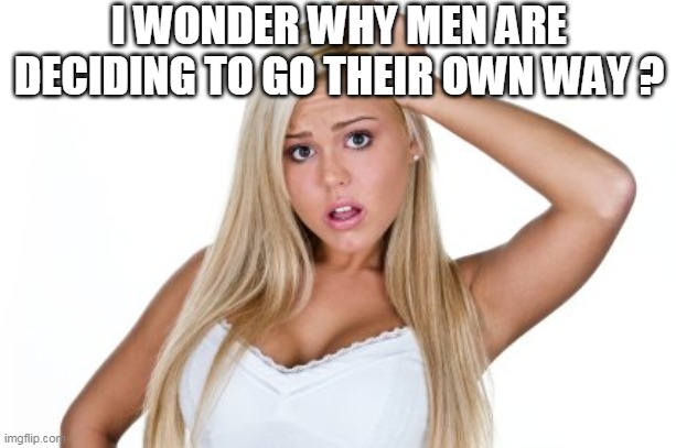 Dumb Blonde | I WONDER WHY MEN ARE DECIDING TO GO THEIR OWN WAY ? | image tagged in dumb blonde | made w/ Imgflip meme maker