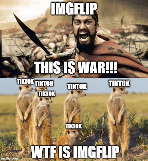 IMGFLIP; THIS IS WAR!!! TIKTOK; TIKTOK; TIKTOK; TIKTOK; TIKTOK; TIKTOK; WTF IS IMGFLIP | image tagged in memes,sparta leonidas,what's that meerkat,wtf,funny | made w/ Imgflip meme maker
