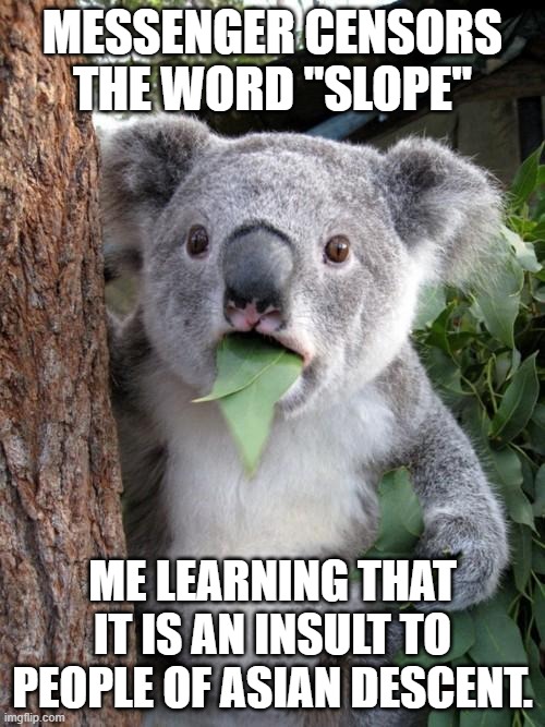 Slippery slope | MESSENGER CENSORS THE WORD "SLOPE"; ME LEARNING THAT IT IS AN INSULT TO PEOPLE OF ASIAN DESCENT. | image tagged in memes,surprised koala | made w/ Imgflip meme maker