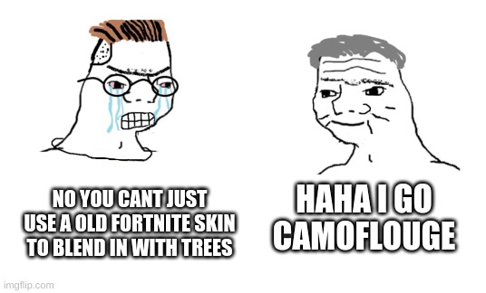 haha brrrrrrr | HAHA I GO CAMOFLOUGE; NO YOU CANT JUST USE A OLD FORTNITE SKIN TO BLEND IN WITH TREES | image tagged in haha brrrrrrr | made w/ Imgflip meme maker