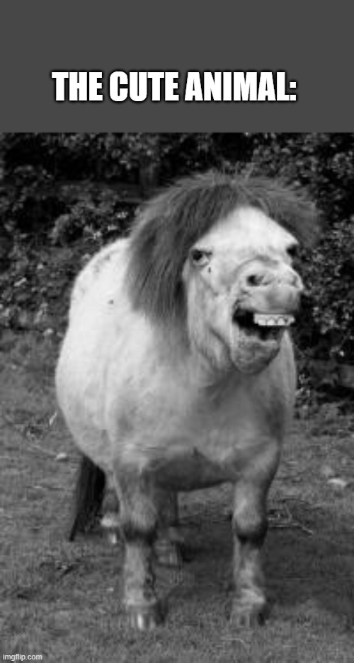 ugly horse | THE CUTE ANIMAL: | image tagged in ugly horse | made w/ Imgflip meme maker
