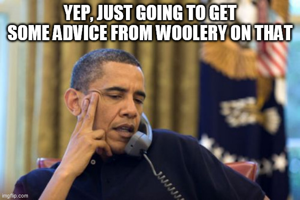 No I Can't Obama | YEP, JUST GOING TO GET SOME ADVICE FROM WOOLERY ON THAT | image tagged in memes,no i can't obama,chuck woolery | made w/ Imgflip meme maker