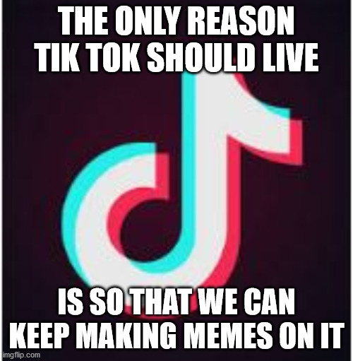 The only reason | THE ONLY REASON TIK TOK SHOULD LIVE; IS SO THAT WE CAN KEEP MAKING MEMES ON IT | image tagged in tik tok | made w/ Imgflip meme maker