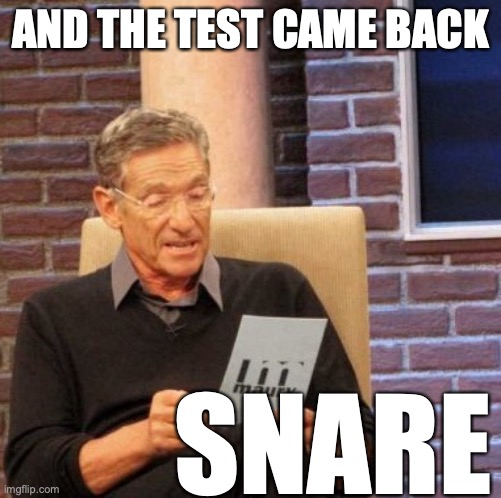 Maury Lie Detector Meme | AND THE TEST CAME BACK SNARE | image tagged in memes,maury lie detector | made w/ Imgflip meme maker
