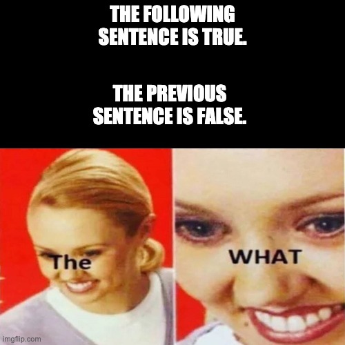 The What | THE FOLLOWING SENTENCE IS TRUE. THE PREVIOUS SENTENCE IS FALSE. | image tagged in the what | made w/ Imgflip meme maker