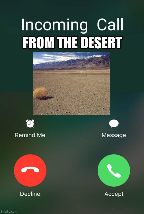 Incoming Call | FROM THE DESERT | image tagged in incoming call | made w/ Imgflip meme maker
