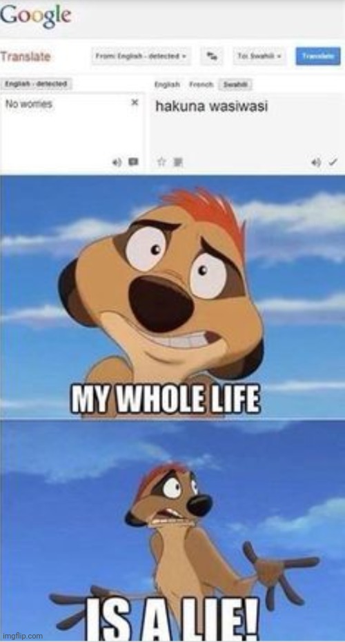 what the heck | image tagged in hakuna matata | made w/ Imgflip meme maker