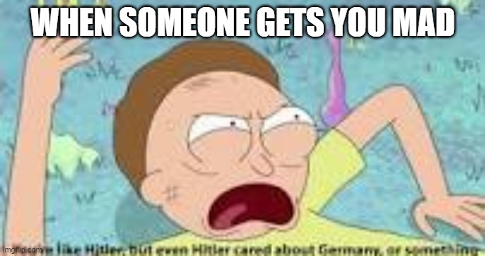 your like hitler | WHEN SOMEONE GETS YOU MAD | image tagged in your like hitler | made w/ Imgflip meme maker