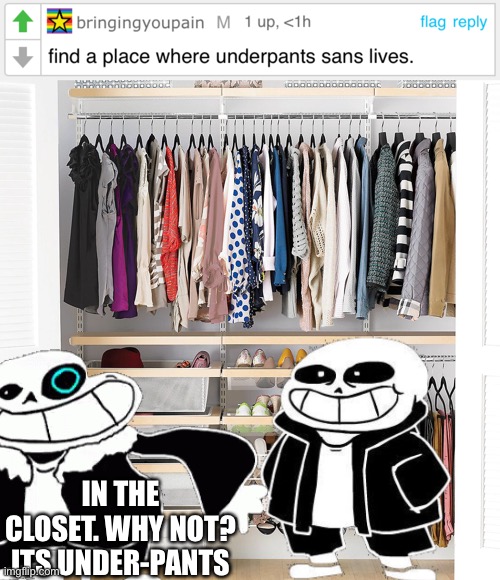 s m o r t | IN THE CLOSET. WHY NOT? ITS UNDER-PANTS | image tagged in memes,funny,sans,underpants,undertale,closet | made w/ Imgflip meme maker