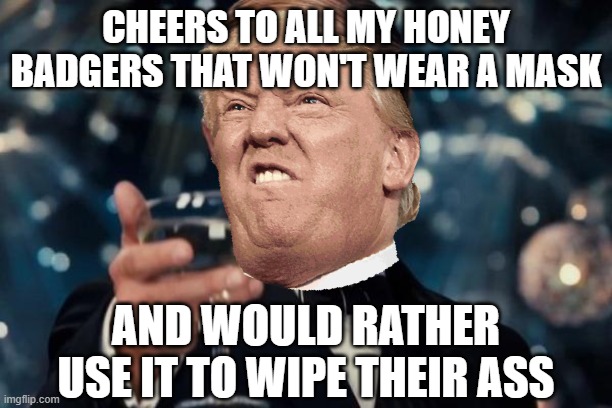 Donald Trump Cheers | CHEERS TO ALL MY HONEY BADGERS THAT WON'T WEAR A MASK; AND WOULD RATHER USE IT TO WIPE THEIR ASS | image tagged in memes,leonardo dicaprio cheers,donald trump approves,trump supporters,covidiots | made w/ Imgflip meme maker
