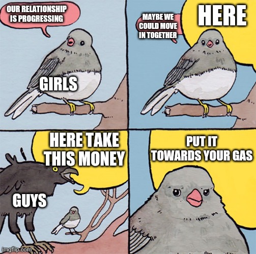 Interrupting bird | HERE; OUR RELATIONSHIP IS PROGRESSING; MAYBE WE COULD MOVE IN TOGETHER; GIRLS; PUT IT TOWARDS YOUR GAS; HERE TAKE THIS MONEY; GUYS | image tagged in interrupting bird | made w/ Imgflip meme maker