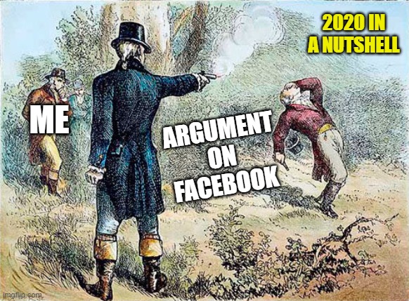 Burr vs. Hamilton | 2020 IN A NUTSHELL; ARGUMENT ON FACEBOOK; ME | image tagged in burr vs hamilton | made w/ Imgflip meme maker