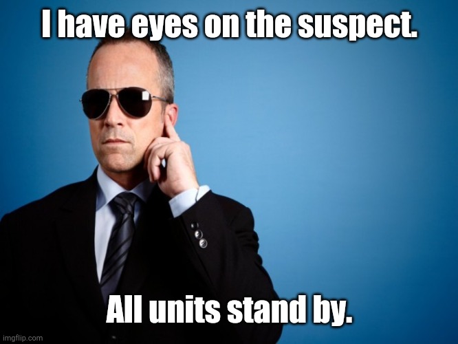Secret Service | I have eyes on the suspect. All units stand by. | image tagged in secret service | made w/ Imgflip meme maker
