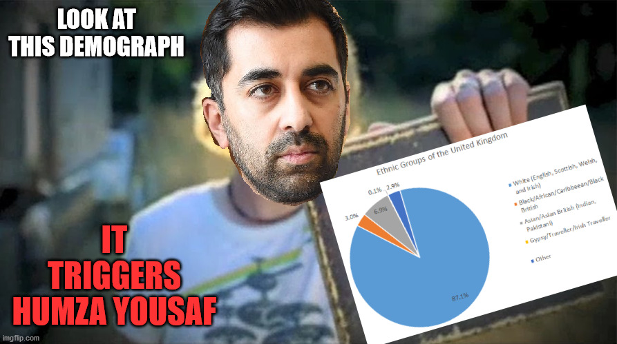 Meanwhile, in the Scottish Parliament... |  LOOK AT THIS DEMOGRAPH; IT TRIGGERS HUMZA YOUSAF | image tagged in uk,scotland,white people,look at this photograph,nickelback,pie chart | made w/ Imgflip meme maker