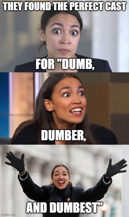 If you can believe looters are robbing hardware stores for bread... | THEY FOUND THE PERFECT CAST; FOR "DUMB, DUMBER, AND DUMBEST" | image tagged in aoc stumped,aoc free stuff,crazy aoc,aoc,alexandria ocasio-cortez | made w/ Imgflip meme maker