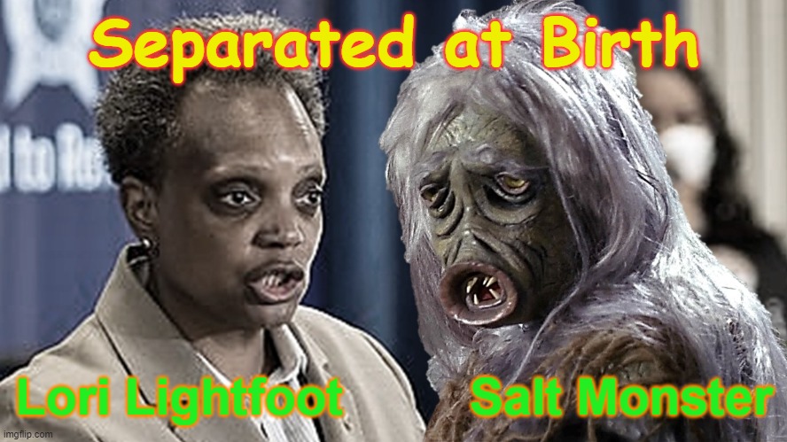Lori Lightfoot & Salt Monster | Separated at Birth; Lori Lightfoot         Salt Monster | image tagged in funny,incompetence,separated at birth,star trek,triggered liberal,donaldtrump | made w/ Imgflip meme maker