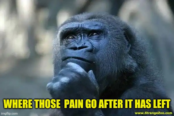 Deep Thoughts | WHERE THOSE  PAIN GO AFTER IT HAS LEFT | image tagged in deep thoughts | made w/ Imgflip meme maker
