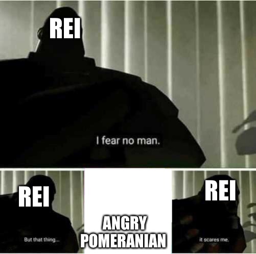 Well they technically do fear a man then but whatever | REI; REI; REI; ANGRY POMERANIAN | image tagged in i fear no man | made w/ Imgflip meme maker