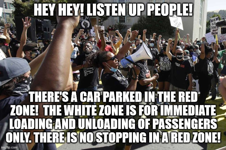 White Zone - Red Zone | HEY HEY! LISTEN UP PEOPLE! THERE'S A CAR PARKED IN THE RED ZONE!  THE WHITE ZONE IS FOR IMMEDIATE LOADING AND UNLOADING OF PASSENGERS ONLY. THERE IS NO STOPPING IN A RED ZONE! | image tagged in airplane,white zone,red zone,bullhorn,crowd | made w/ Imgflip meme maker
