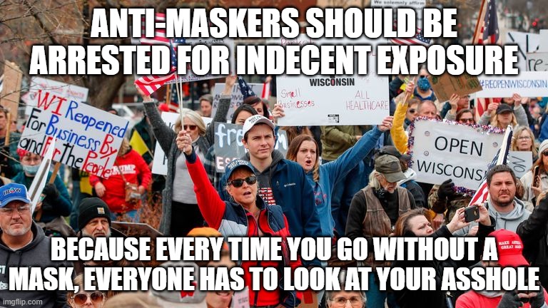 Indecent Exposure | ANTI-MASKERS SHOULD BE ARRESTED FOR INDECENT EXPOSURE; BECAUSE EVERY TIME YOU GO WITHOUT A MASK, EVERYONE HAS TO LOOK AT YOUR ASSHOLE | image tagged in anti mask protesters in wisconsin | made w/ Imgflip meme maker