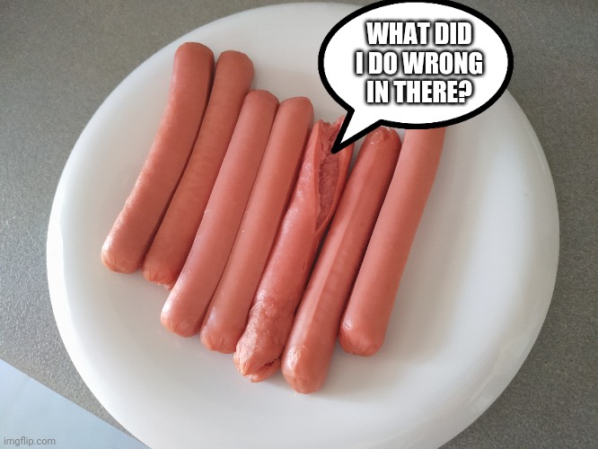 Microwave challenge | WHAT DID I DO WRONG IN THERE? | image tagged in first world problems,funny,memes,sausage,explosion,hurt | made w/ Imgflip meme maker