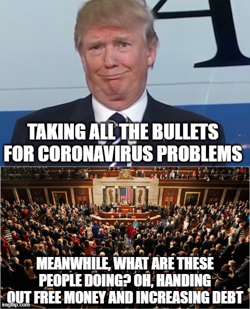 Which is More Irresponsible? | TAKING ALL THE BULLETS FOR CORONAVIRUS PROBLEMS; MEANWHILE, WHAT ARE THESE PEOPLE DOING? OH, HANDING OUT FREE MONEY AND INCREASING DEBT | image tagged in congress,donald trump | made w/ Imgflip meme maker