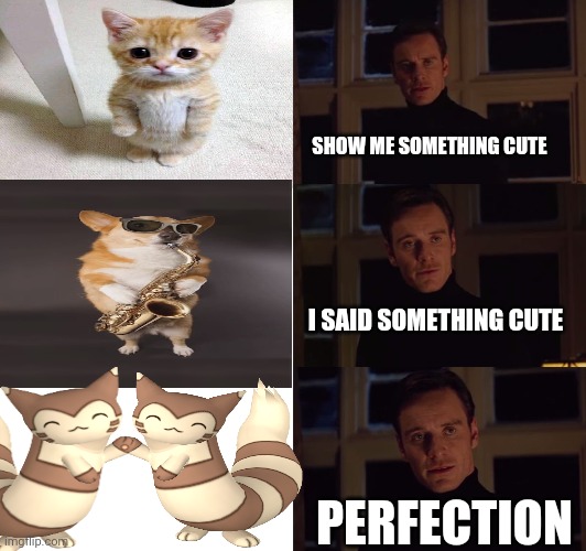 perfection | SHOW ME SOMETHING CUTE; I SAID SOMETHING CUTE; PERFECTION | image tagged in perfection | made w/ Imgflip meme maker