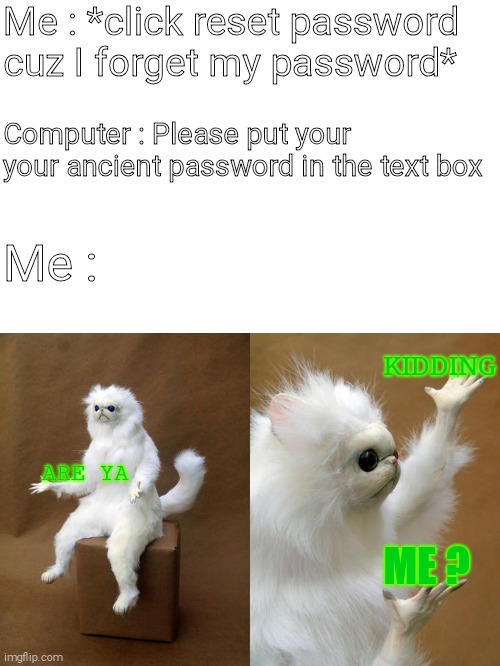 anotha passwarda mema | Me : *click reset password cuz I forget my password*; Computer : Please put your your ancient password in the text box; Me :; KIDDING; ARE YA; ME ? | image tagged in memes,persian cat room guardian | made w/ Imgflip meme maker