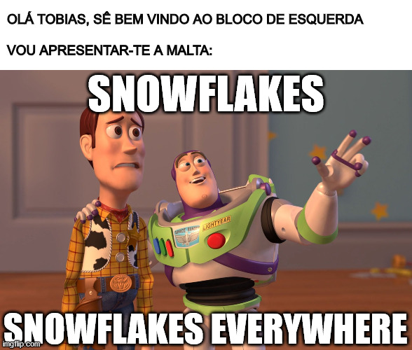 Bloco de Snowflakes | OLÁ TOBIAS, SÊ BEM VINDO AO BLOCO DE ESQUERDA
 
VOU APRESENTAR-TE A MALTA:; SNOWFLAKES; SNOWFLAKES EVERYWHERE | image tagged in memes,x x everywhere,snowflakes,bloco de esquerda,indignados,ofendidos | made w/ Imgflip meme maker