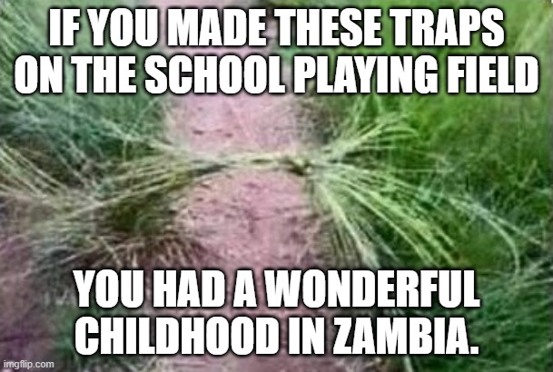 Grass Traps | IF YOU MADE THESE TRAPS ON THE SCHOOL PLAYING FIELD; YOU HAD A WONDERFUL CHILDHOOD IN ZAMBIA. | image tagged in zambia,grass,traps | made w/ Imgflip meme maker