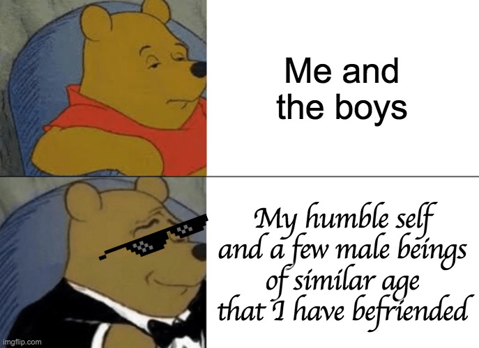 Fanciness | Me and the boys; My humble self and a few male beings of similar age that I have befriended | image tagged in memes,tuxedo winnie the pooh | made w/ Imgflip meme maker